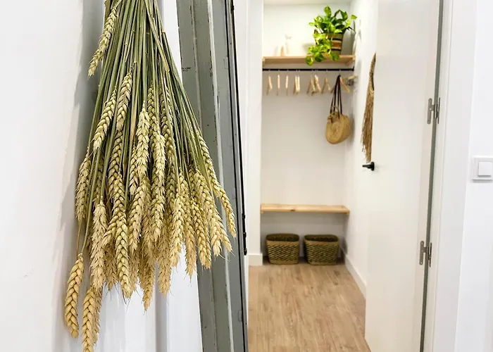 Apartament Mediterranean Vibes. Oasis De Relax En Alicante. Alicante
